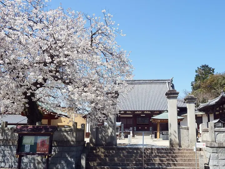 国分寺
