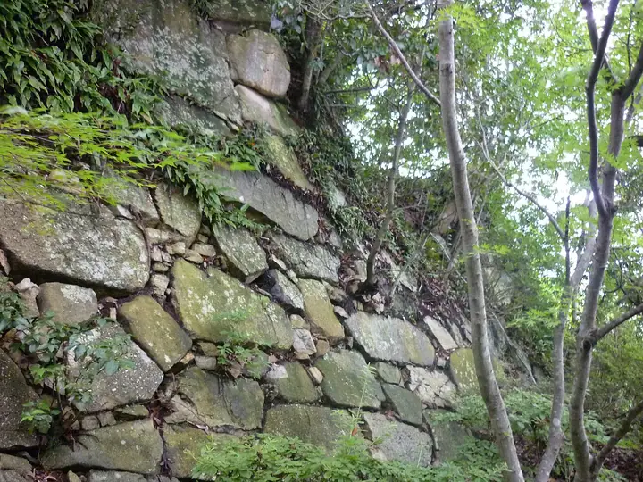 八幡山城