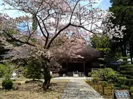 国分寺