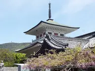 國分寺