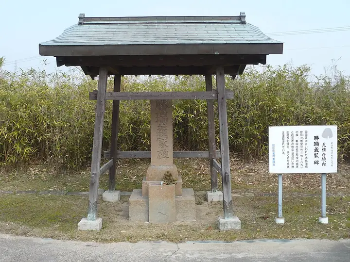 勝瑞城