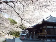 大興寺