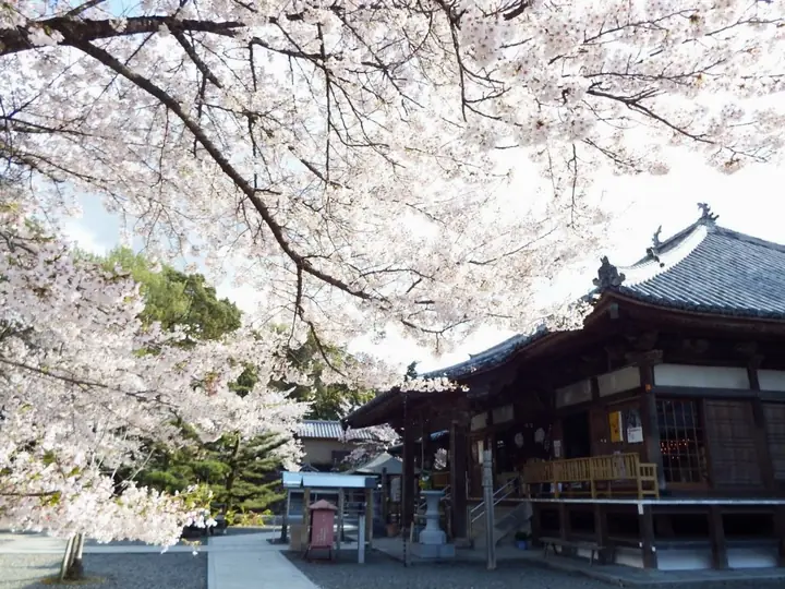 大興寺