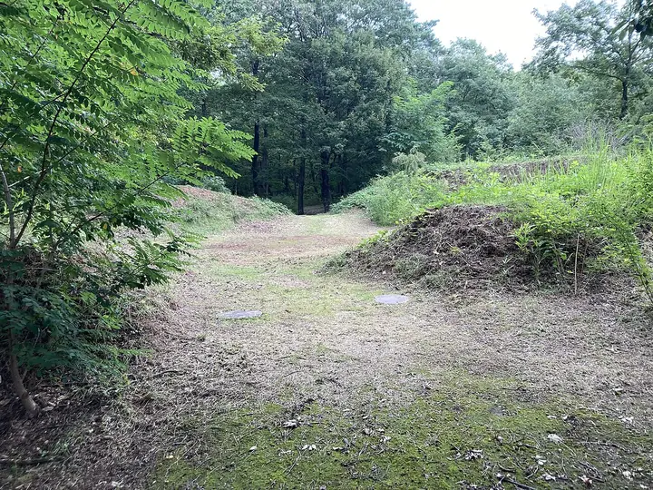 新府城