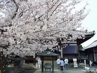 曼荼羅寺