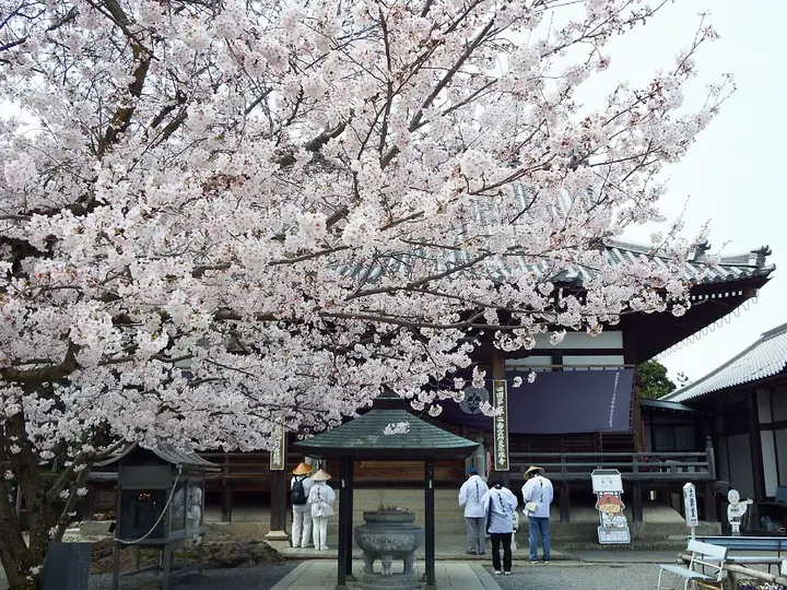 曼荼羅寺