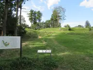 杉山城