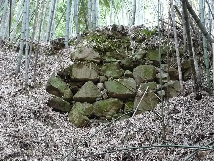 芥川山城