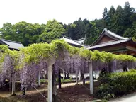 藤井寺