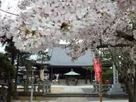 金倉寺