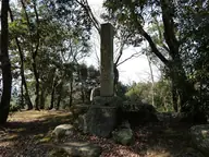 金山城 (美濃国)
