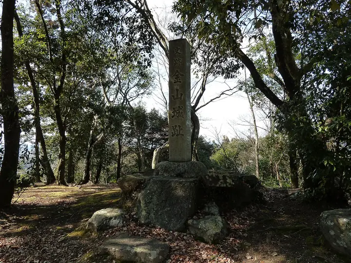 金山城 (美濃国)