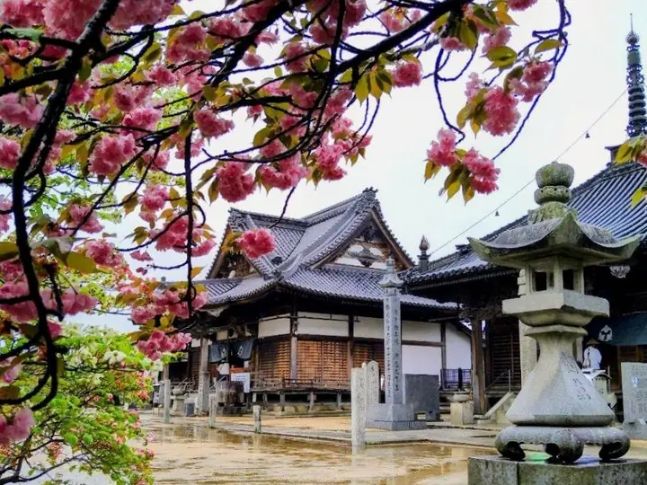 長尾寺