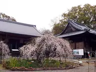 雪蹊寺