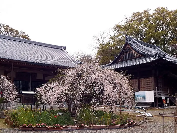 雪蹊寺