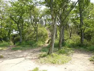飯盛山城