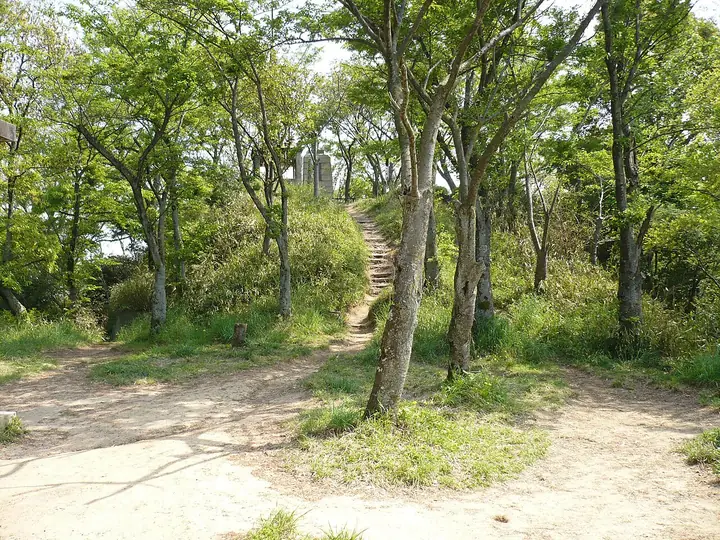 飯盛山城