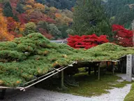 善峯寺