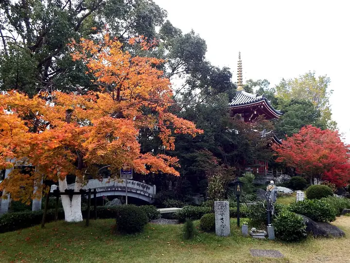 安楽寺