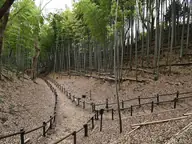 小机城