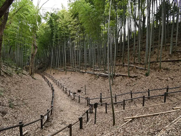 小机城