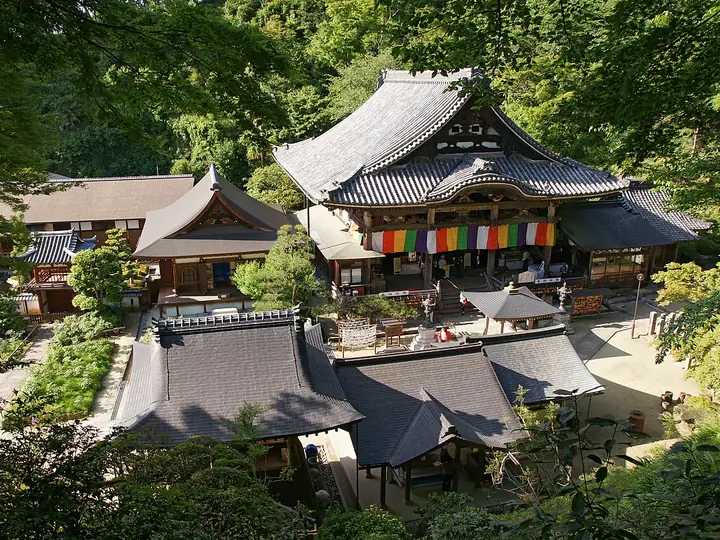 岡寺