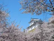 津山城