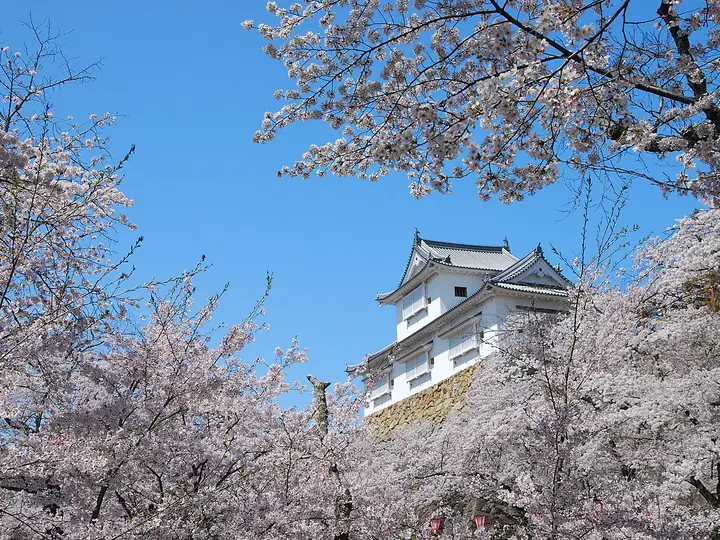 津山城